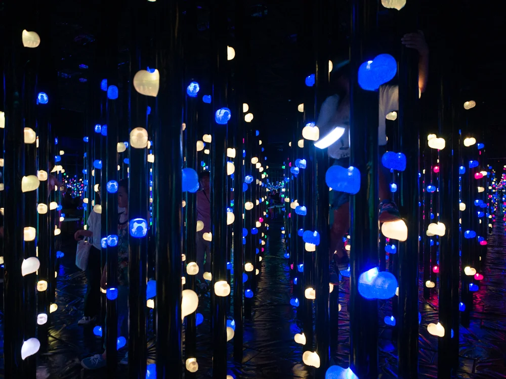 Mori_Digital_Art_Museum_2018-17.jpg
