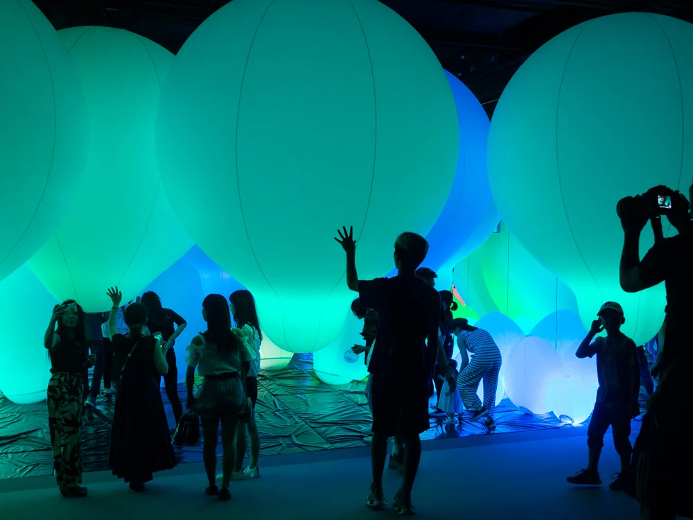 Rikumo Field Trip: Mori Building Digital Art Museum Epson - teamLab Borderless