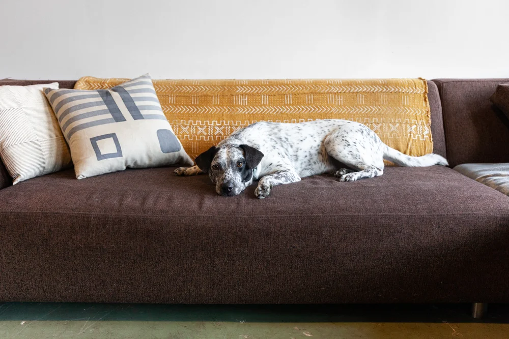 Carla_Weeks_Studio_Tour_Rikumo_Journal-10.jpg