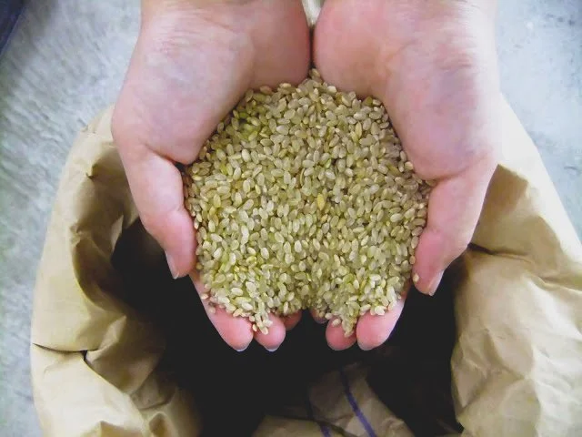 What Goes Around: A Look Inside the Circular Society of Fermenstation