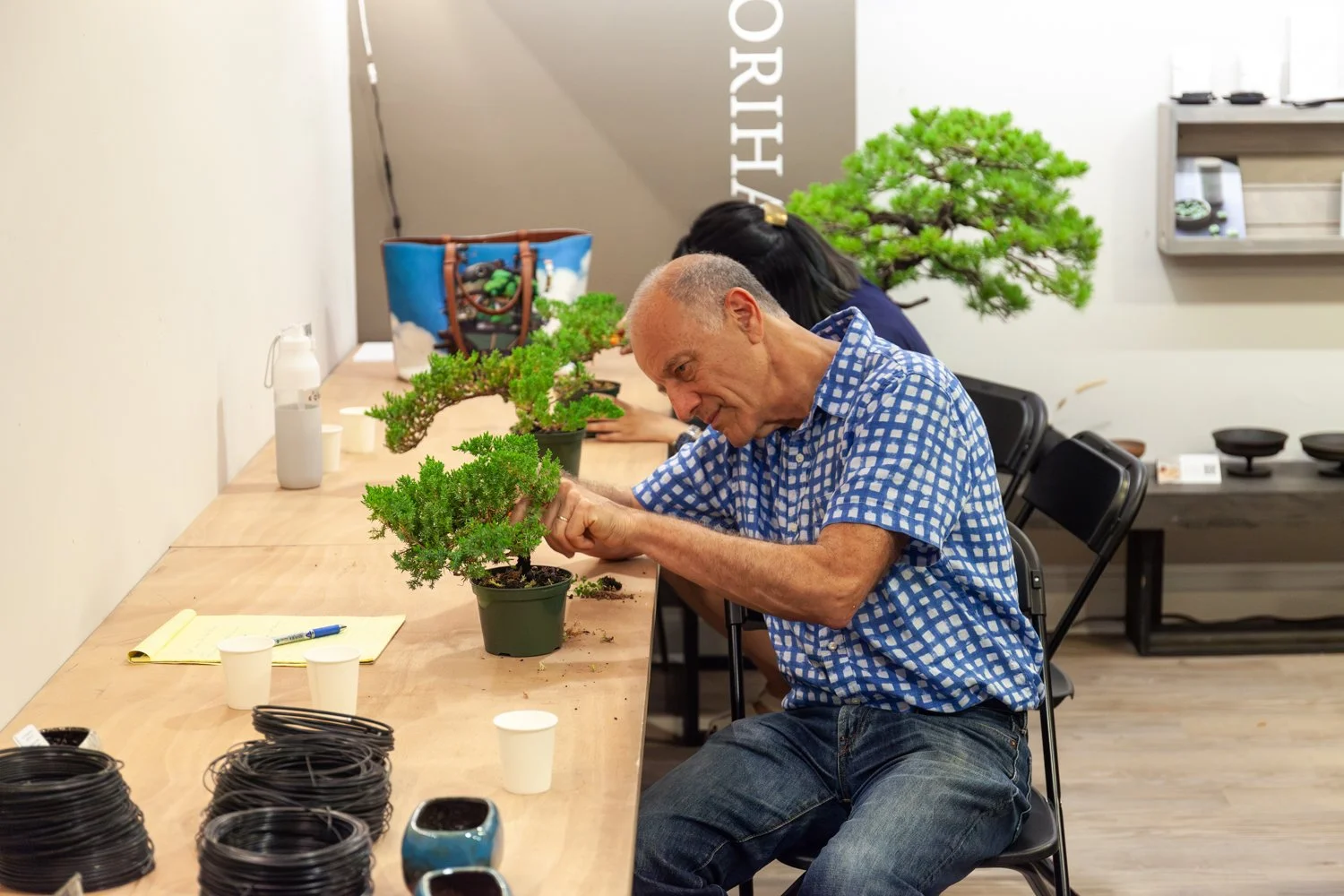 Become_a_Bonsai_Master_with_Kifu_Bonsai-14.jpg
