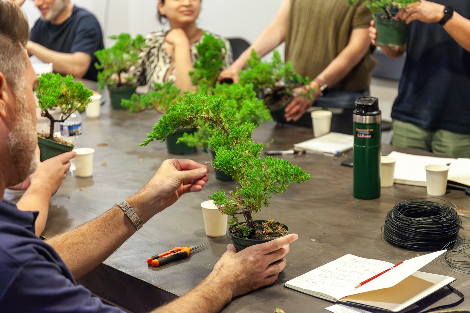 Become_a_Bonsai_Master_with_Kifu_Bonsai-16.jpg