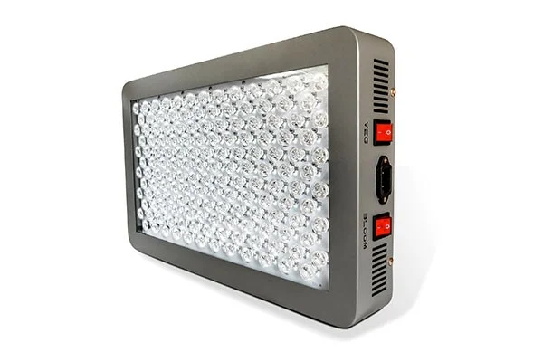 P450-front.jpg