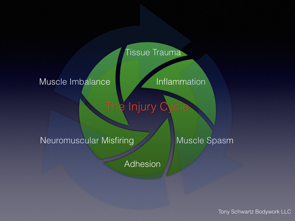 The Injury Cycle (Twin Cities Orthopedics)