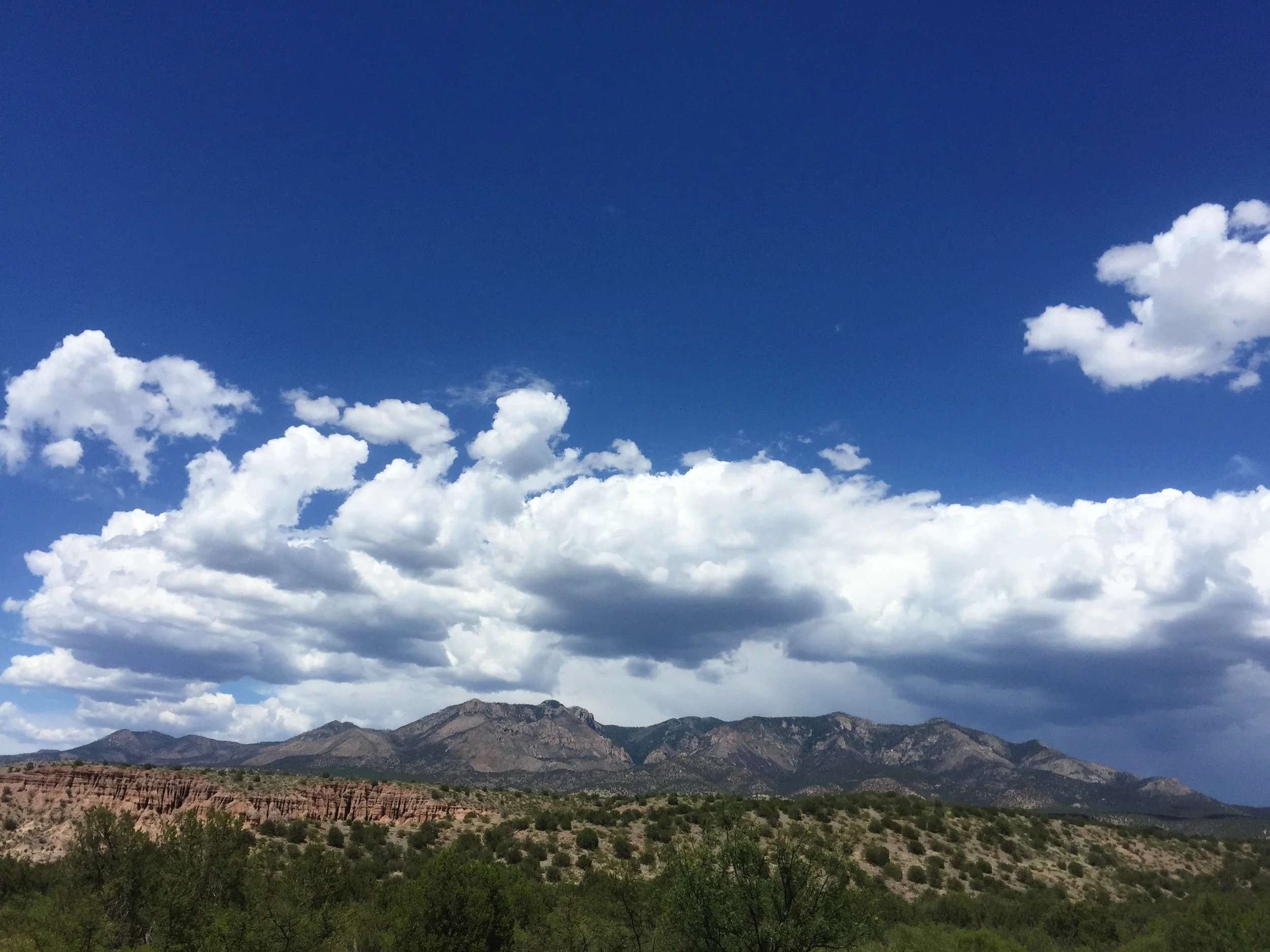 Gila Wilderness, NM