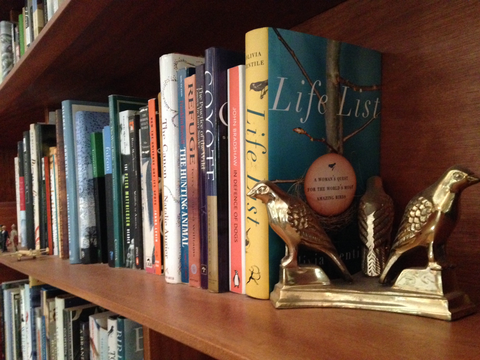 Too many books. Photo by Nancy Klingener.
