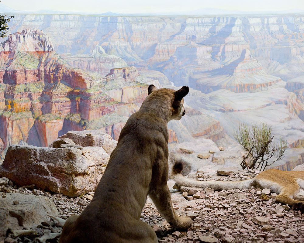 Point Sublime, Grand Canyon