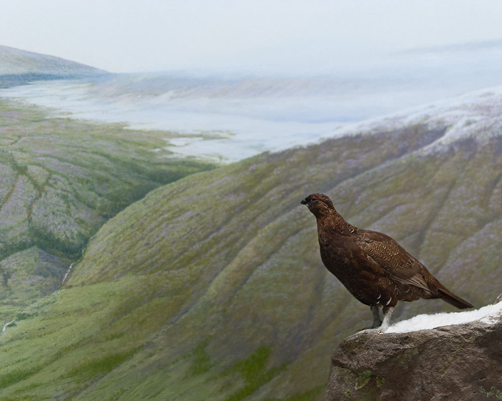 Selkirkshire, Scotland