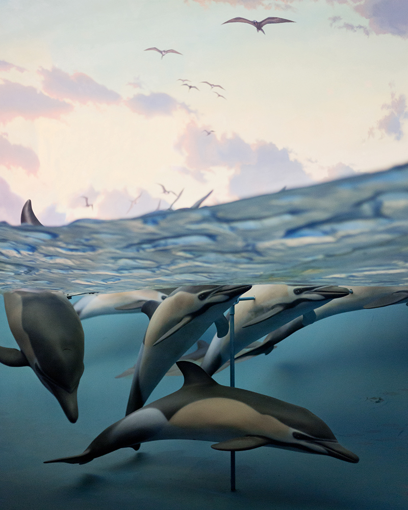 Dolphins, American Museum of Natural History