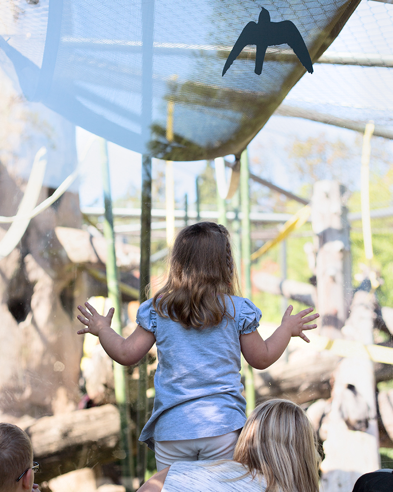 Bird, Oregon Zoo