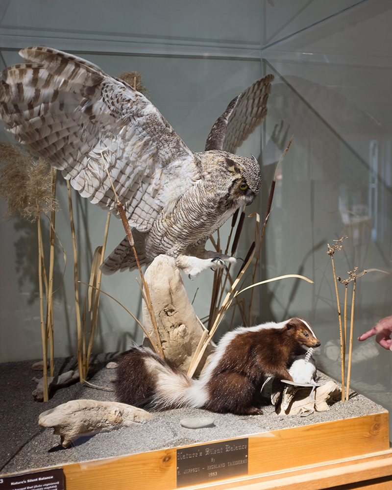 Nature's Silent Balance; Idaho Museum of Natural History, Pocatello