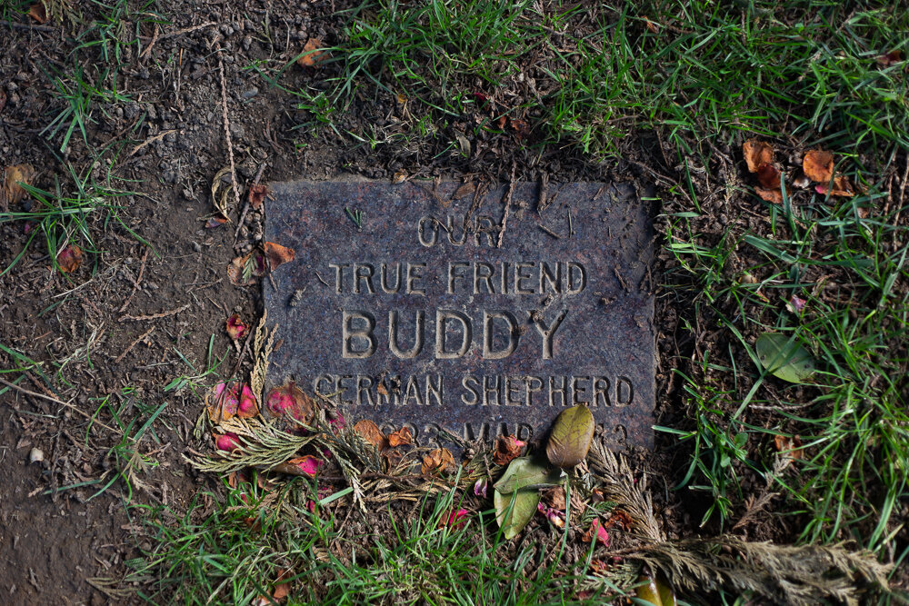 Our True Friend Buddy, Oregon Humane Society Animal Cemetery