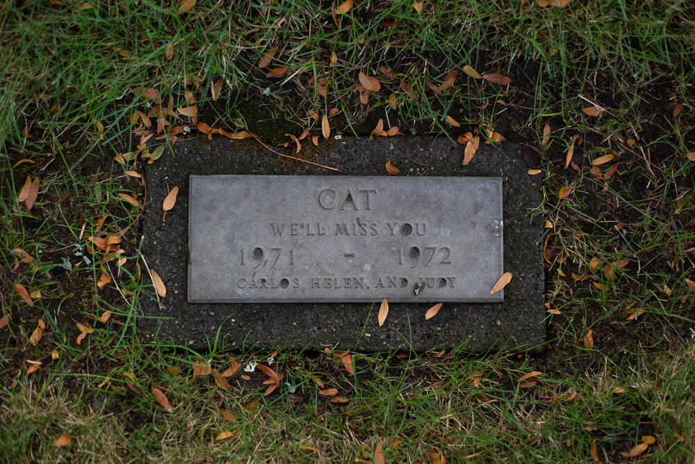 Cat, Green Acres Pet Cemetery, Jackson County, OR