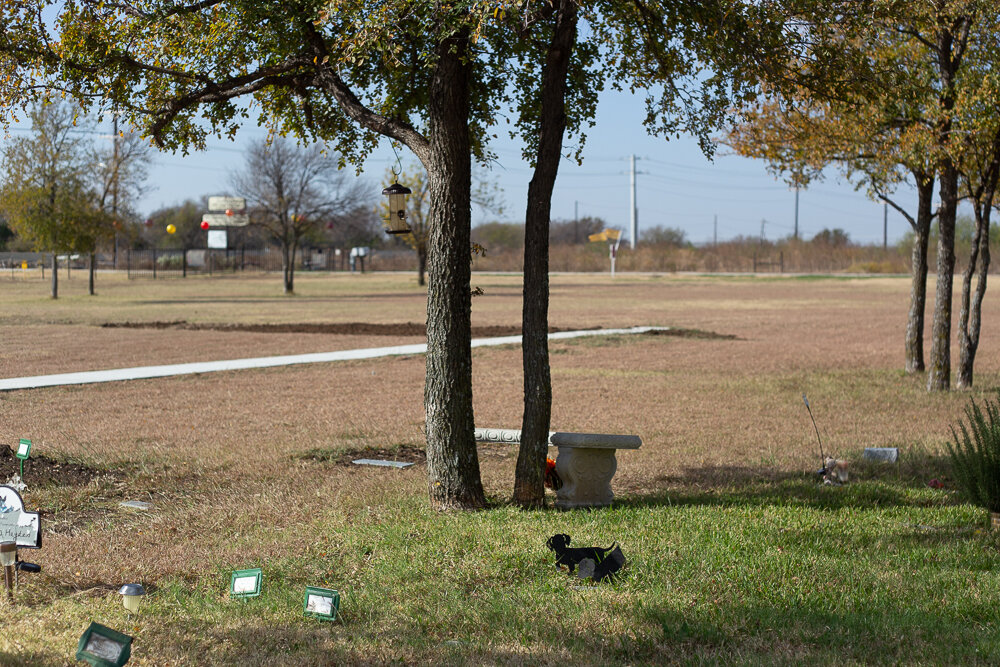 Dachshund, Toothacres Pet Cemetery, Carrollton, TX