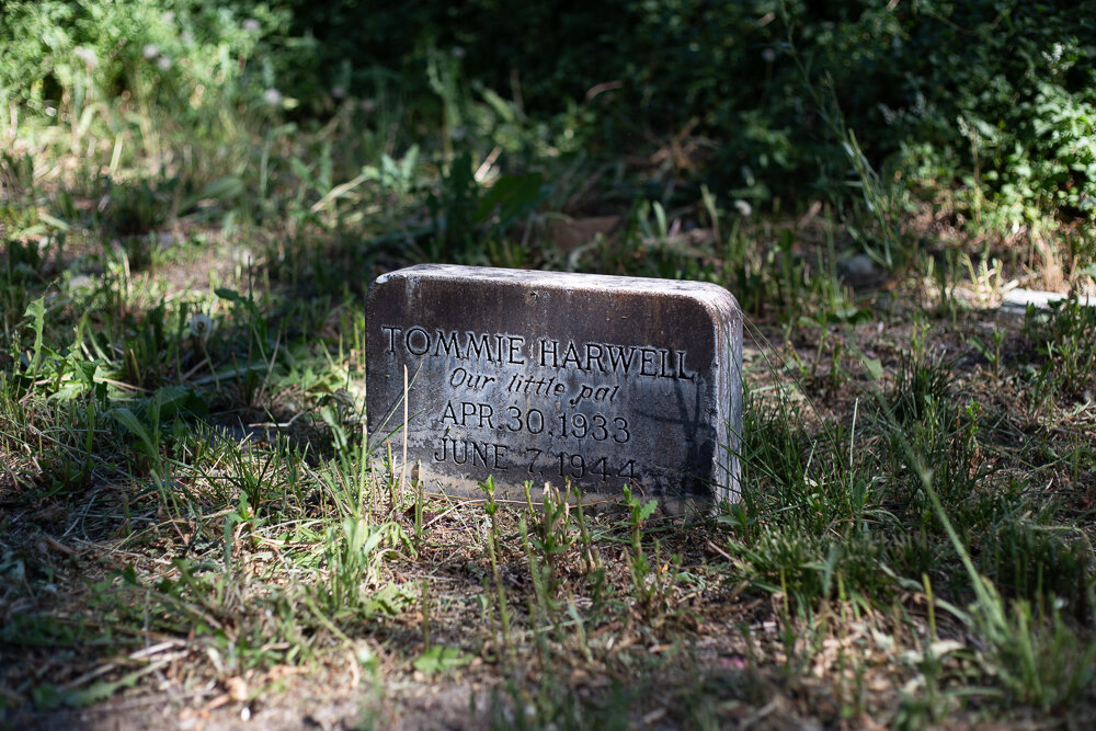 Tommie Harwell, Denver Pet Cemetery