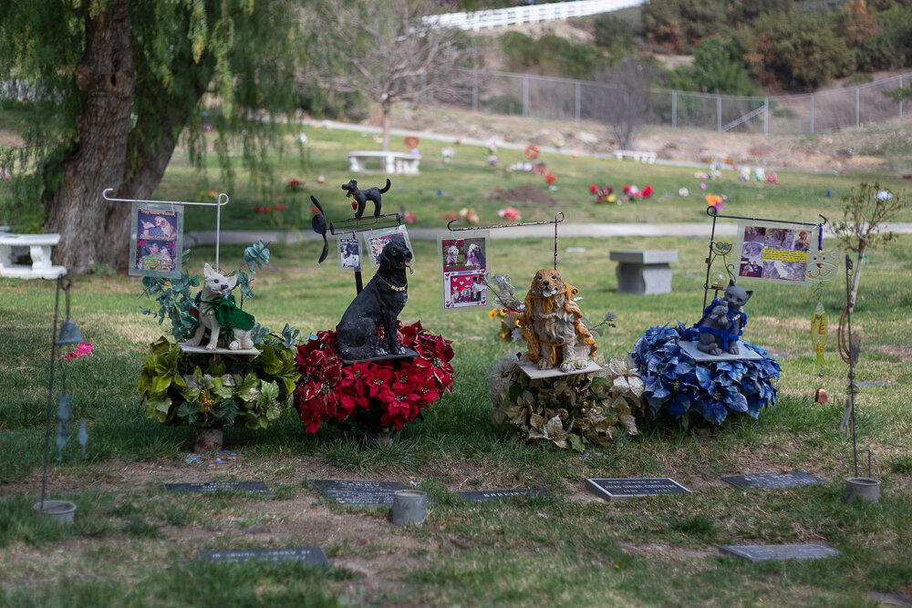 Four Pets at Los Angeles Pet Memorial Park (S.O.P.H.I.E.)