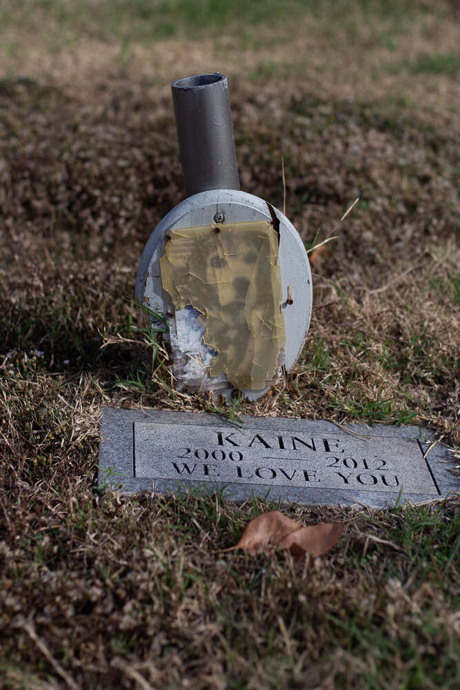 Kaine, Pet Rest Memorial Park &amp; Crematory, Sachse, TX