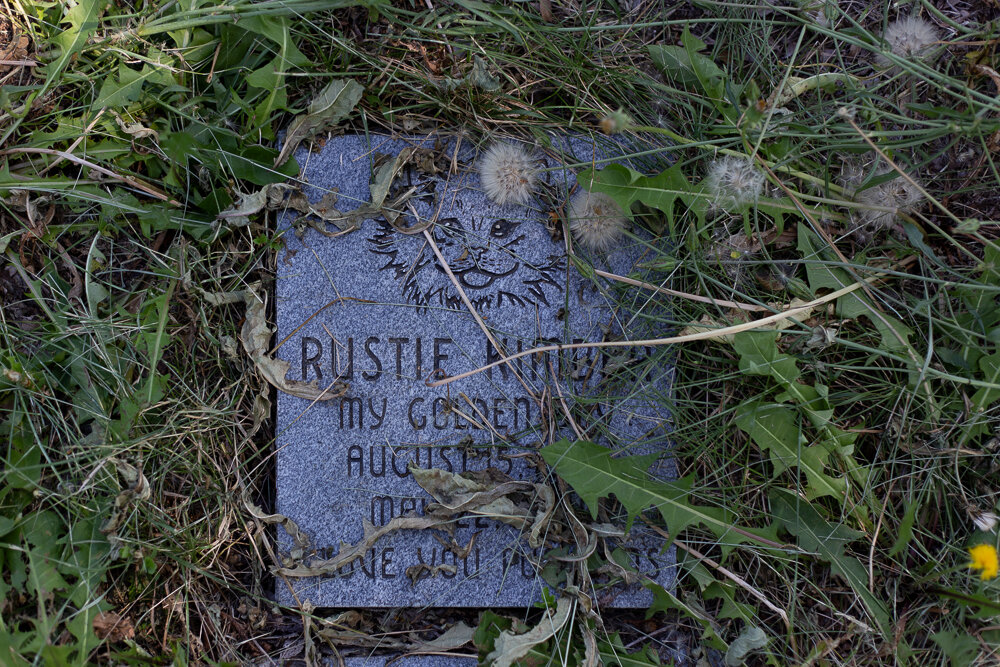 Rustie Kimber, Denver Pet Cemetery