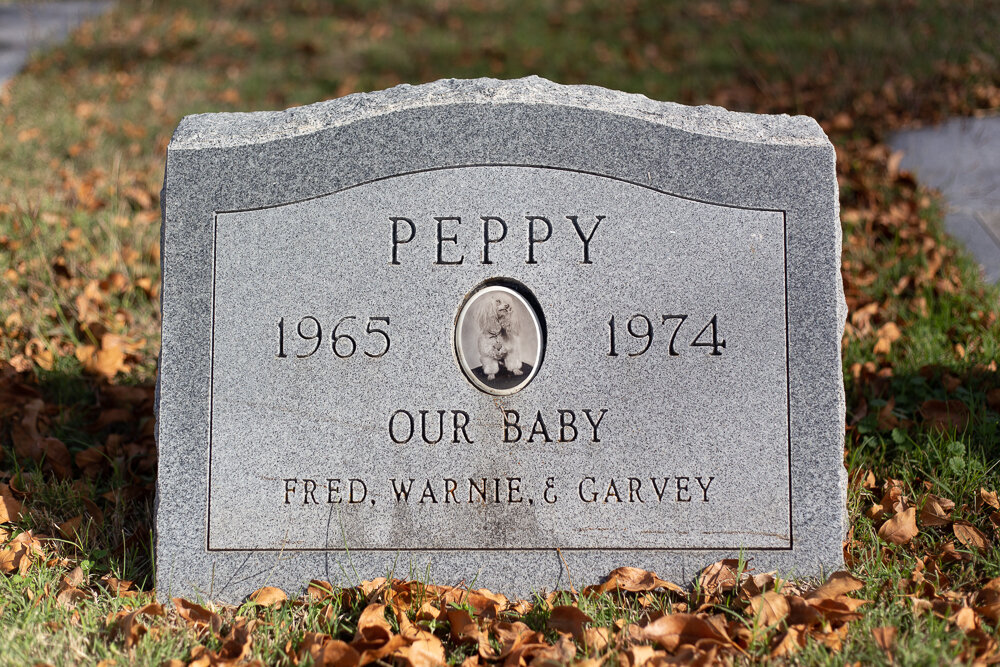 Peppy, Cedar Hill Pet Memorial Project, Cedar Hill, TX