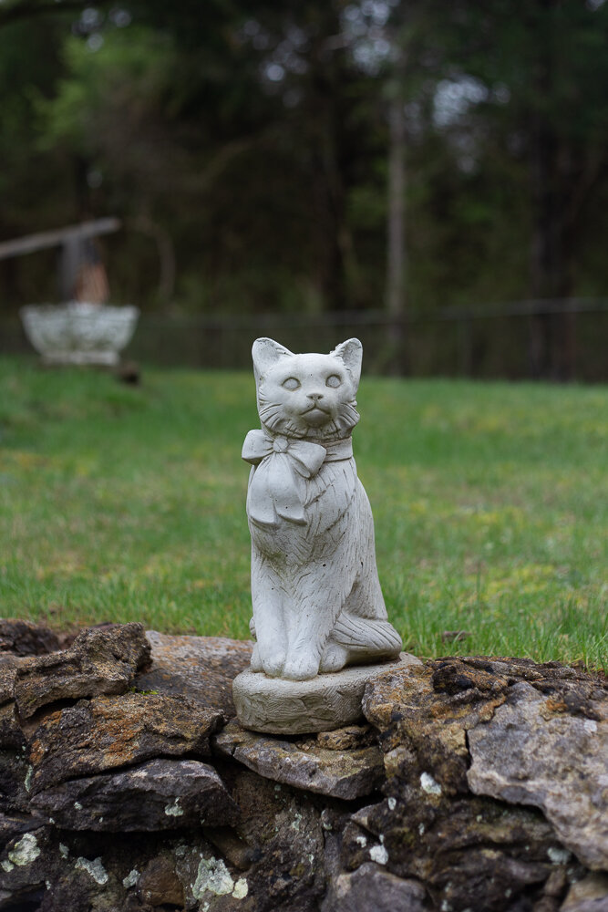 Cat with Bow, Sheabel Pet Cemetery, Lexington, KY