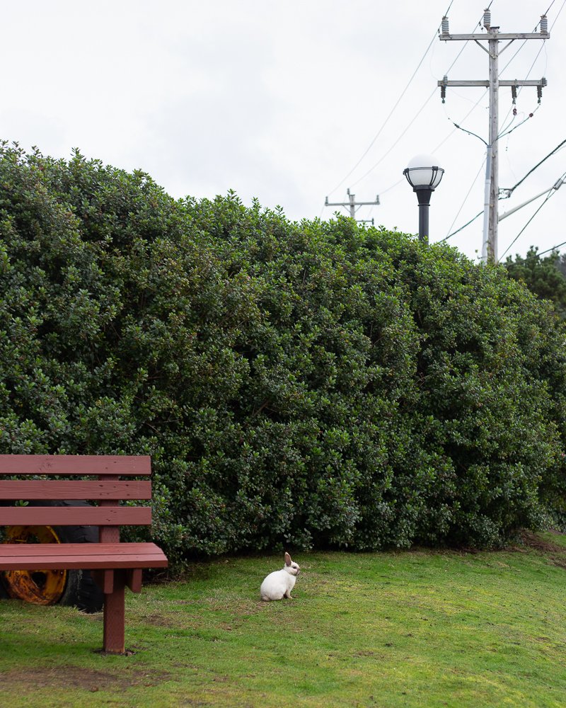 Park Bench