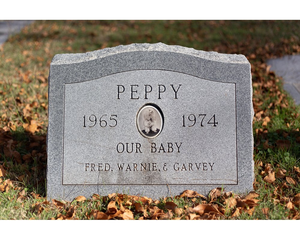 Peppy, Cedar Hill Pet Memorial Project, Cedar Hill, TX