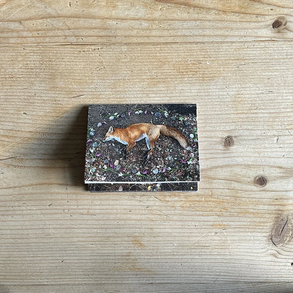 Mini book.jpg