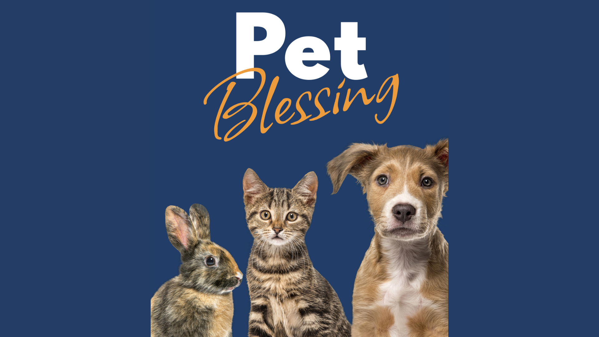 Pet Blessings