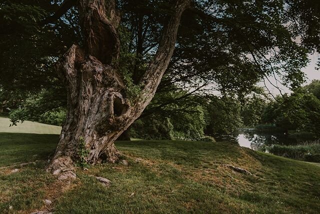 &ldquo;And above all, watch with glittering eyes the whole world around you because the greatest secrets are always hidden in the most unlikely places. Those who don't believe in magic will never find it.&rdquo; ― Roald Dahl⠀⠀⠀⠀⠀⠀⠀⠀⠀
⠀⠀⠀⠀⠀⠀⠀⠀⠀
Do you