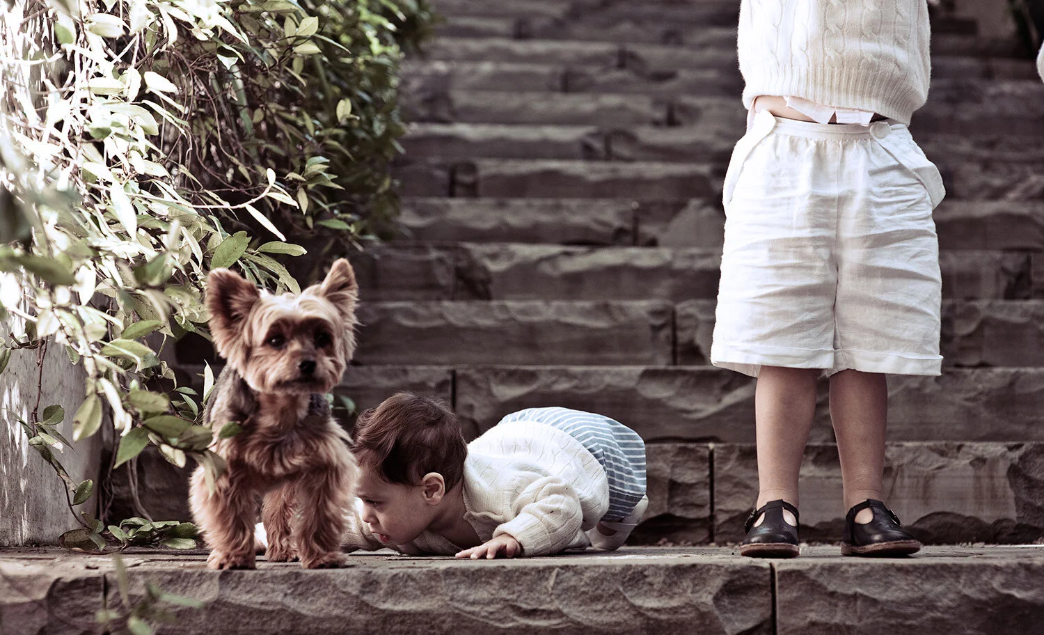 Children and Family Portraits by Bryony Shearmur Photography