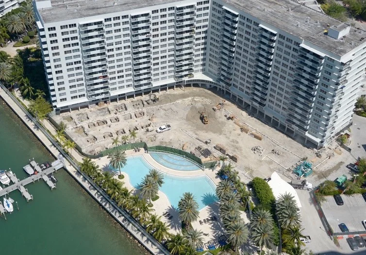 Flamingo - March 2017.jpeg