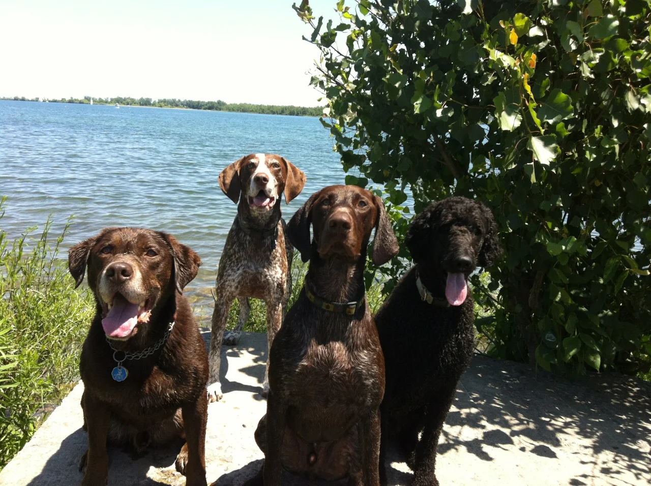 C harlie and his buddies at the beach...