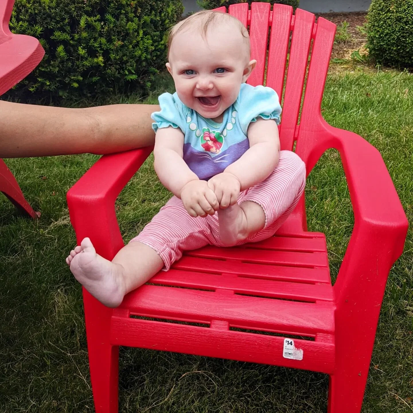 Pekas having fun in her chair that grama got her to match mommy and daddy's!