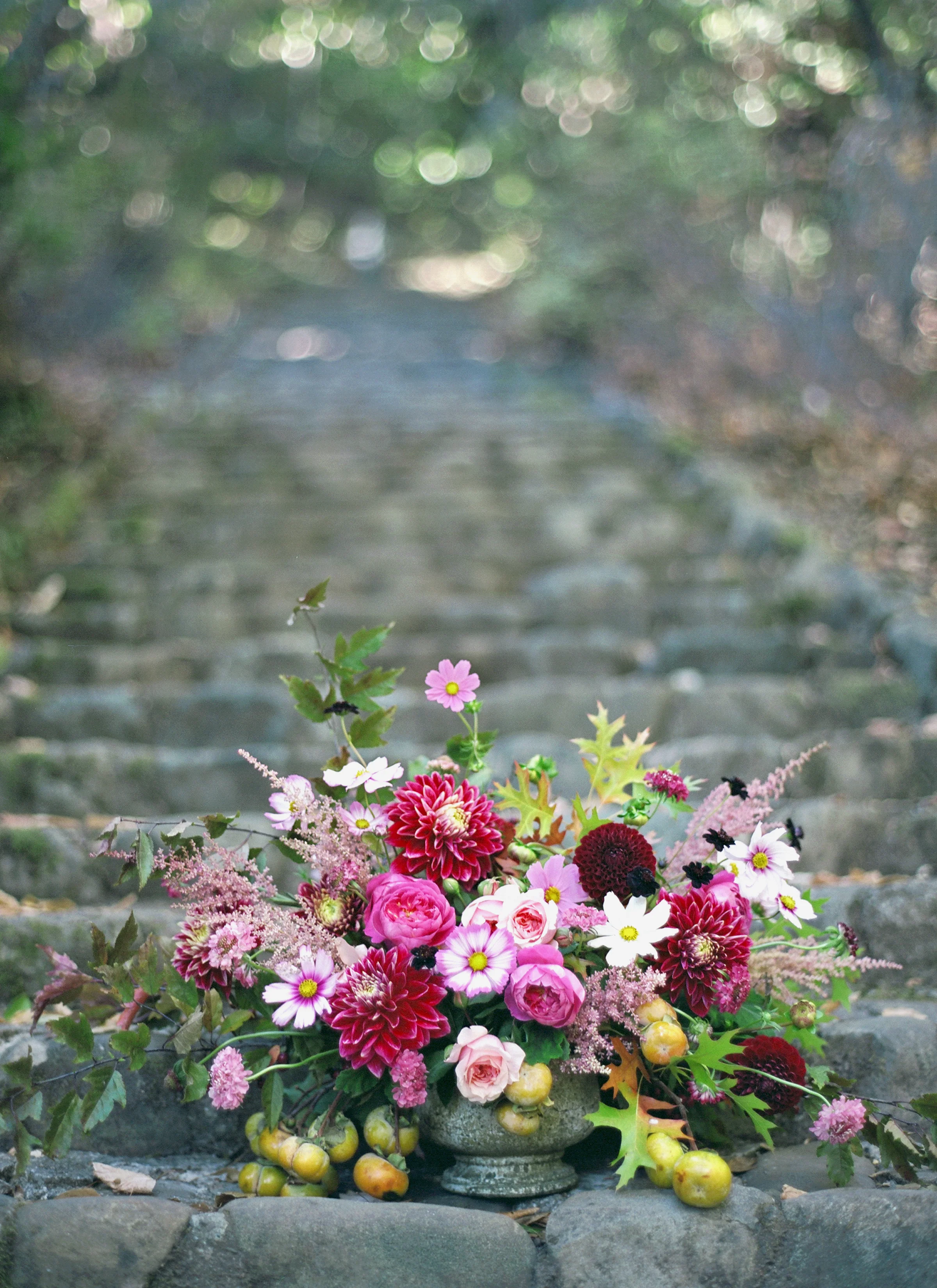 Haewon - Autumn011.jpg