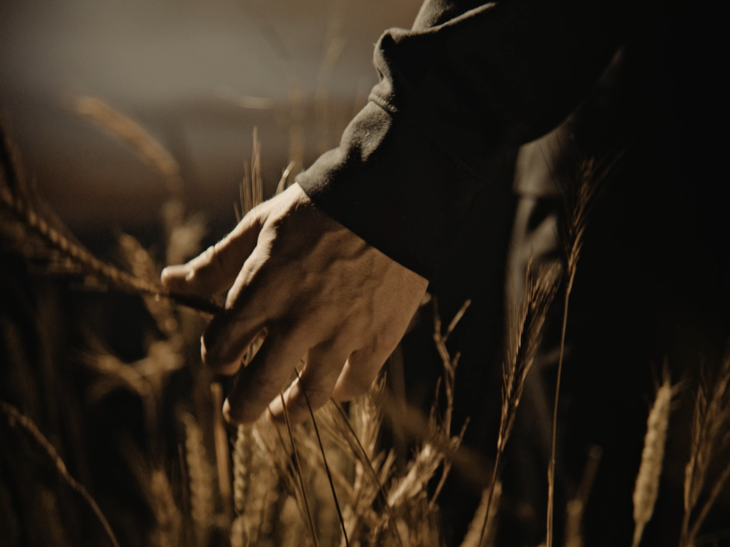 easter_2022_opener (Original).00_00_25_06.Still003.png