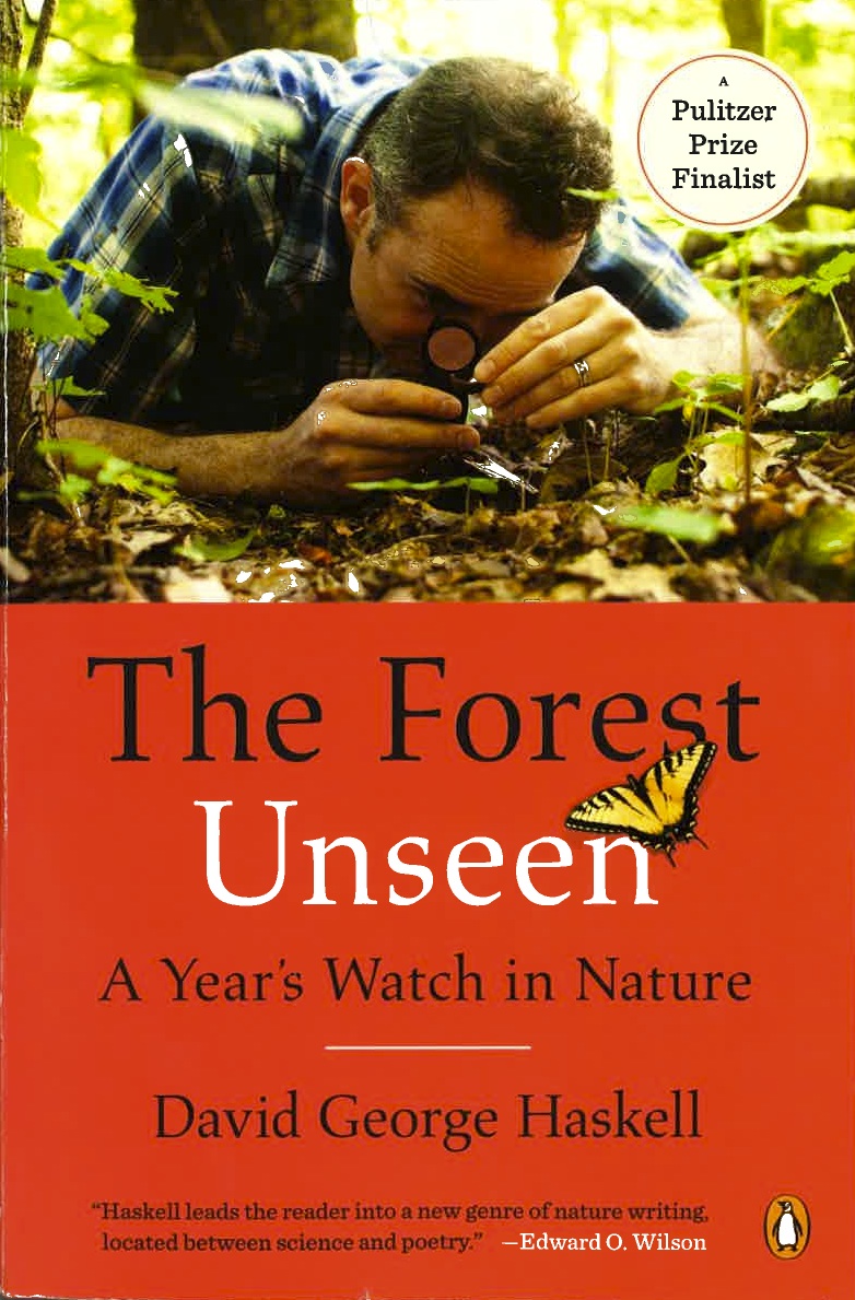 3 forest unseen_001.jpg