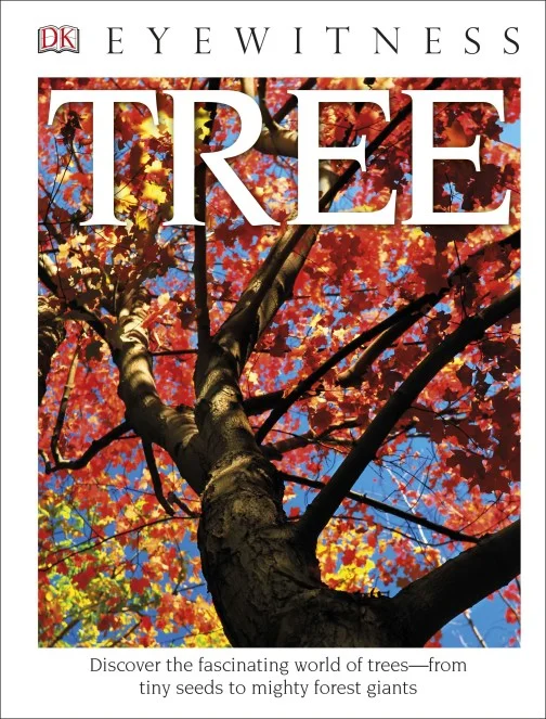 5 dk tree.jpg