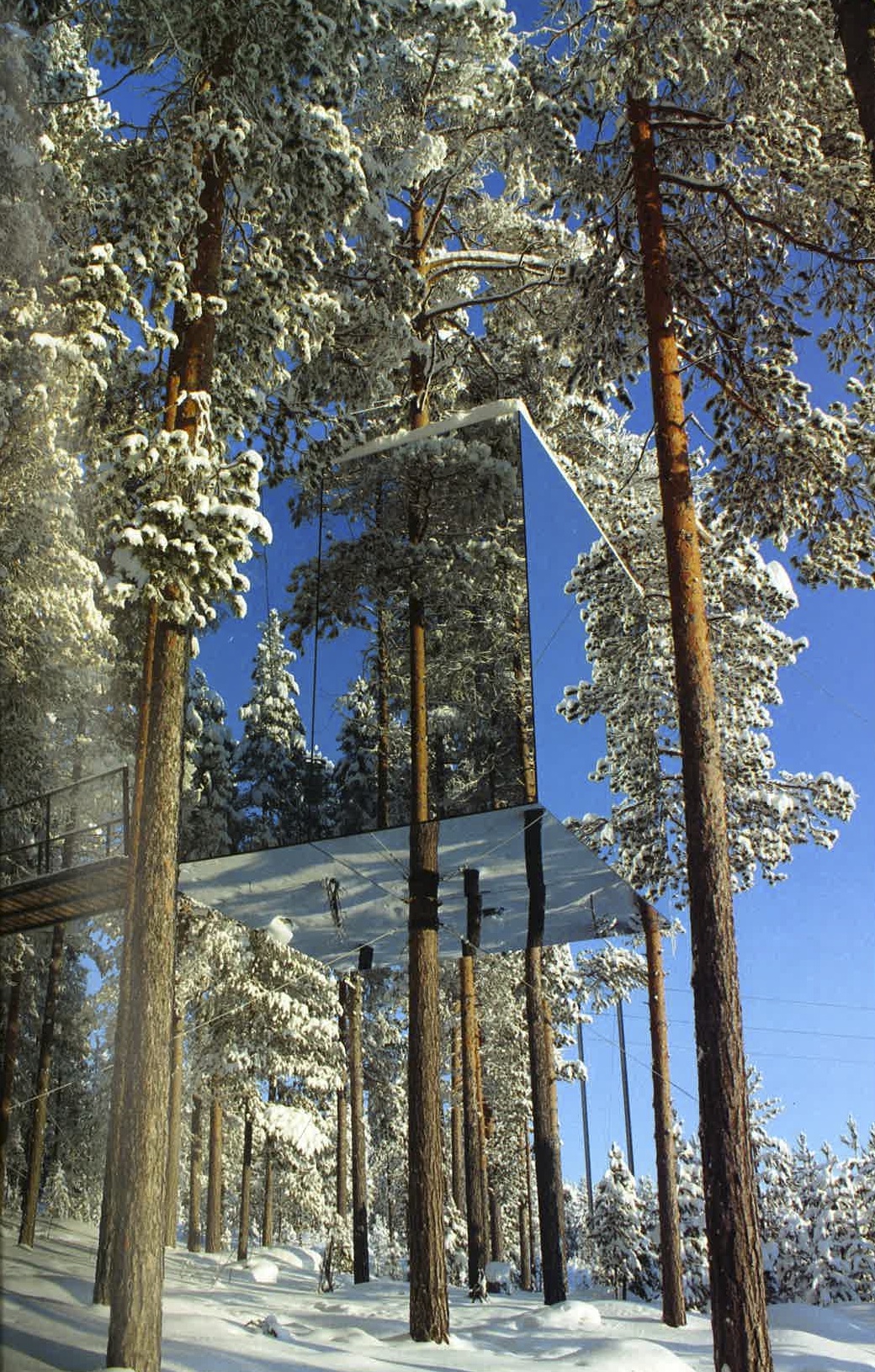 6 glass treehouse.jpg
