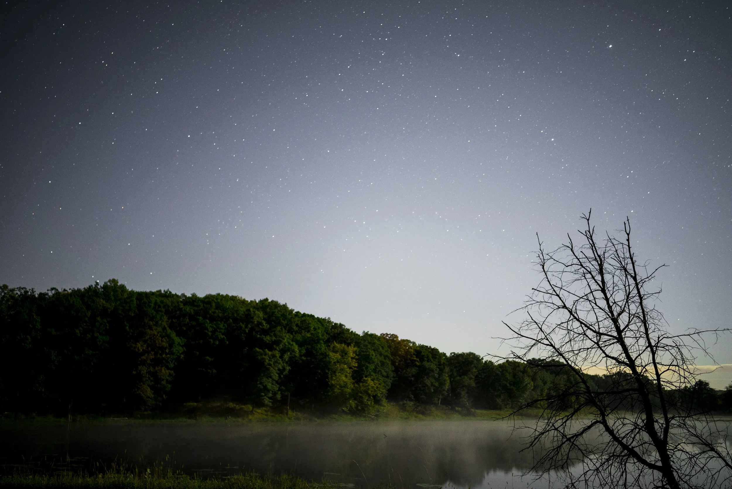 Mist on a lake
