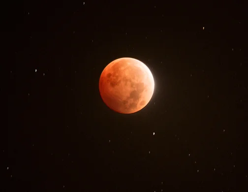 Bloodmoon