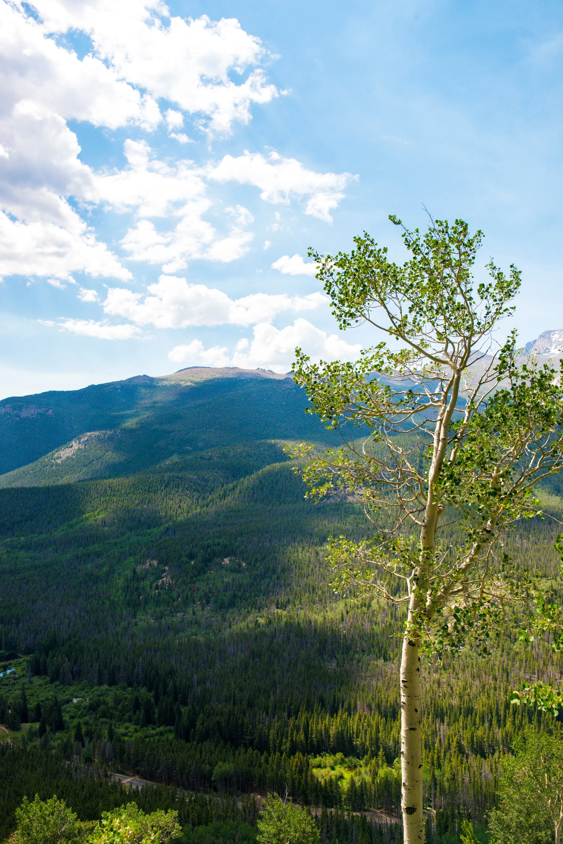 1707_ColoradoVacation-512.jpg