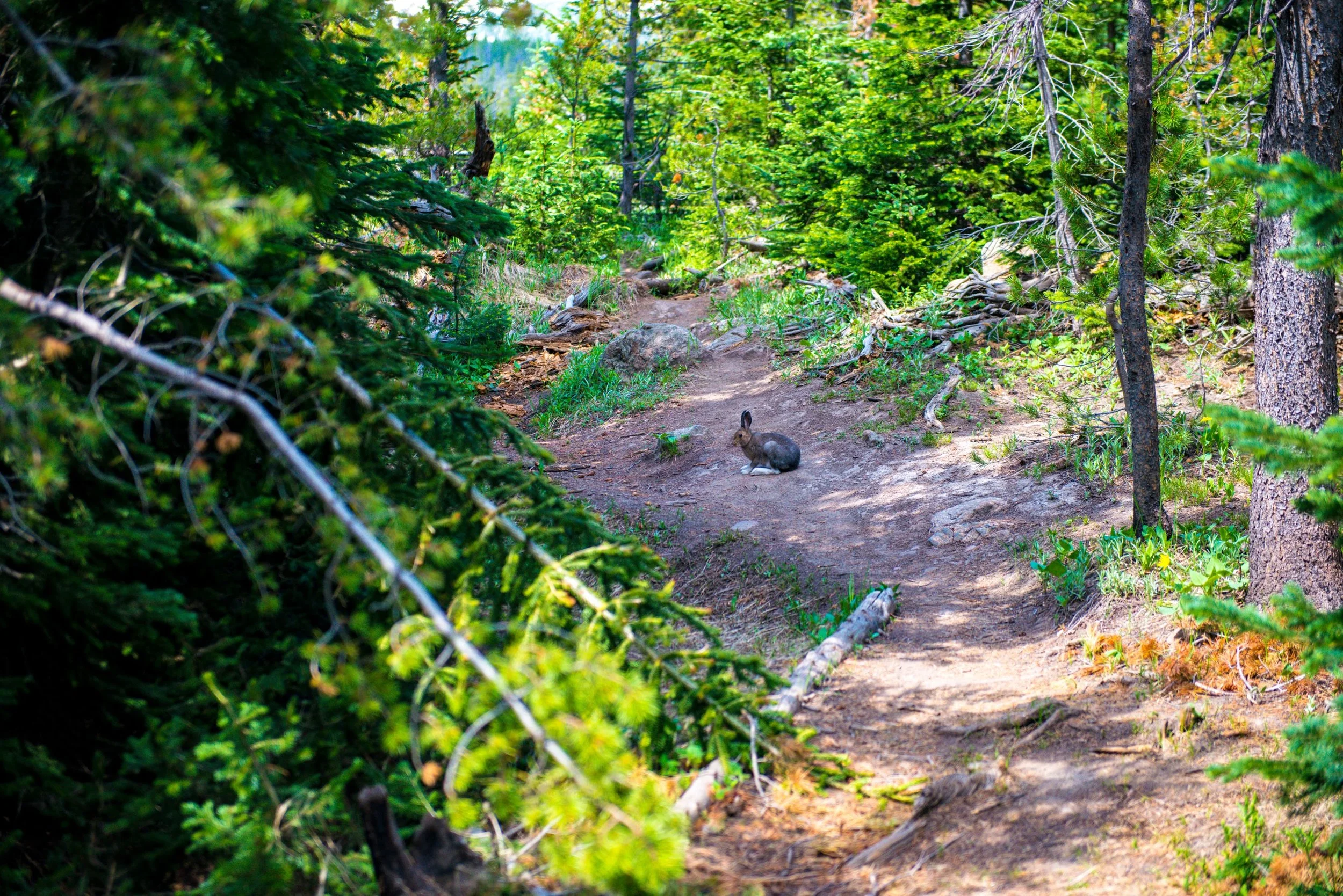 1707_ColoradoVacation-502.jpg
