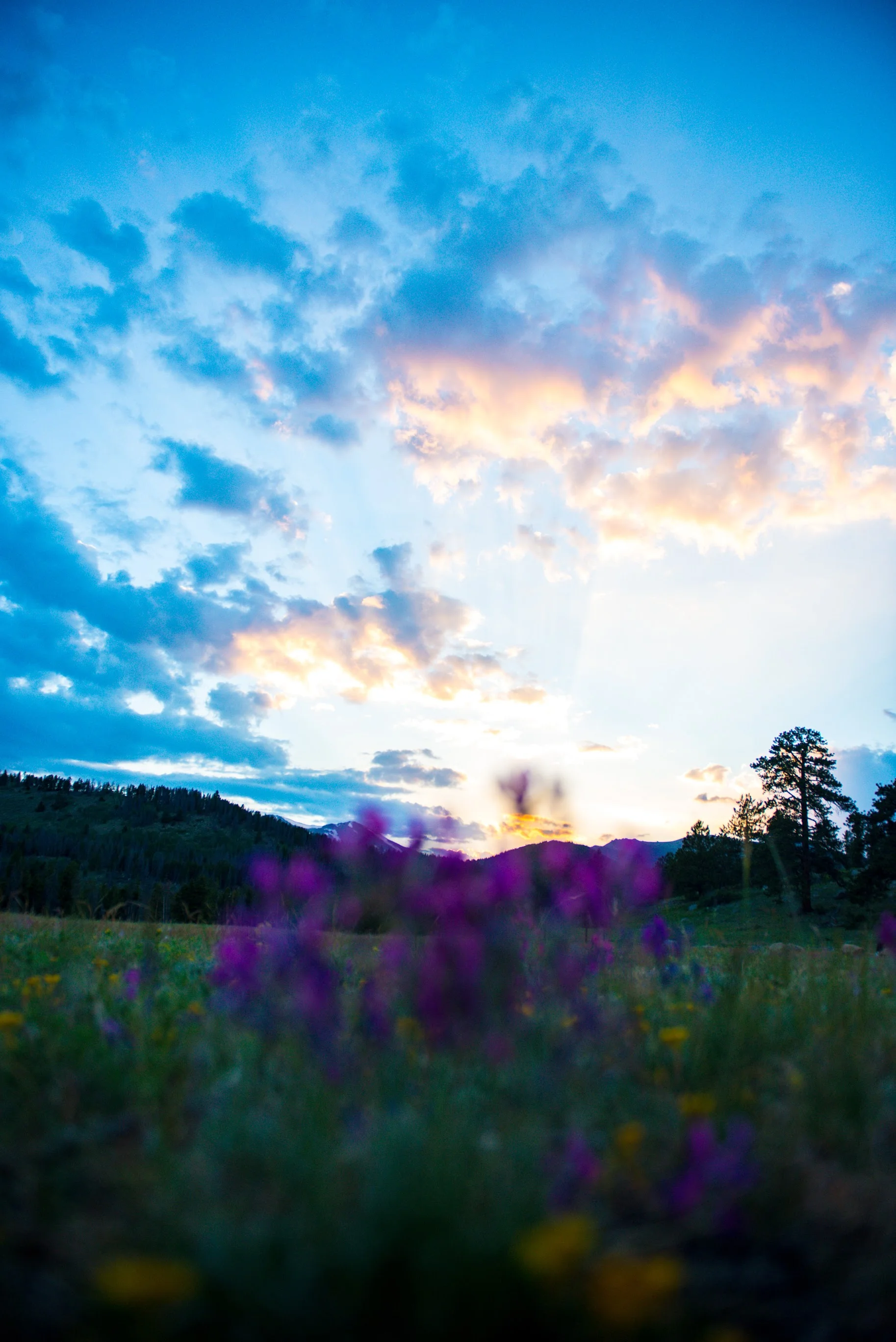 1707_ColoradoVacation-448.jpg