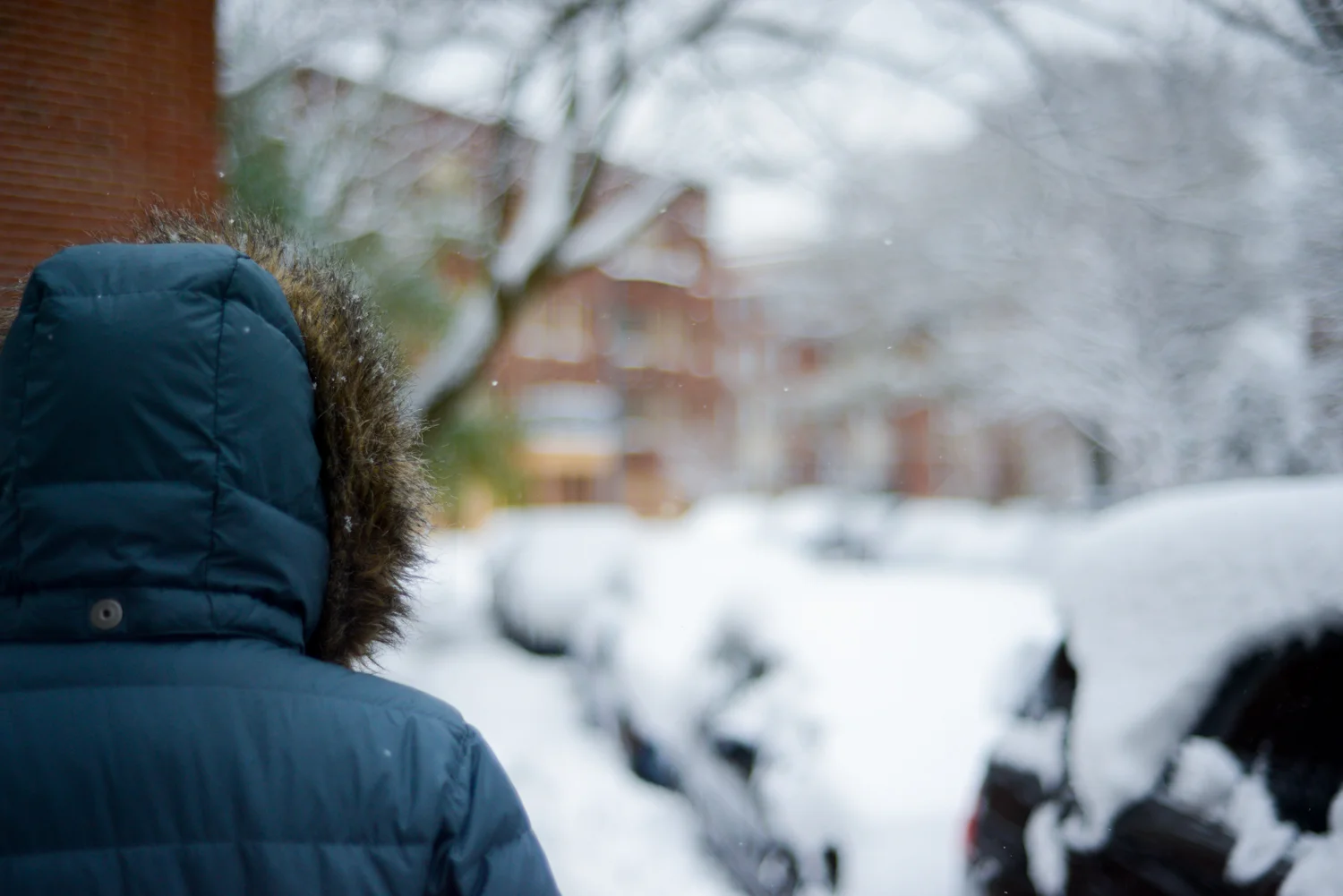 20190113_FirstSnowoftheYear-16.jpg