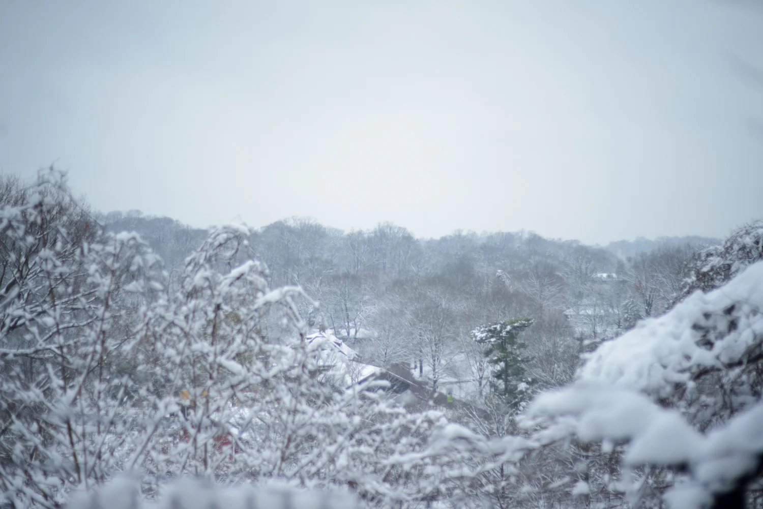 20190113_FirstSnowoftheYear-25.jpg