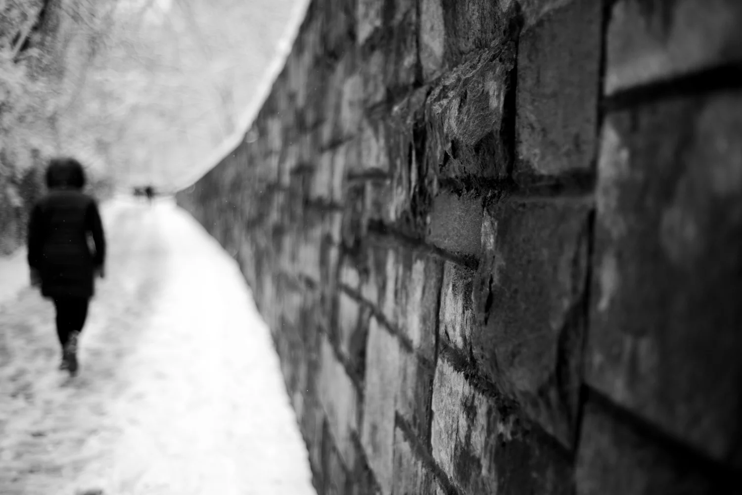 20190113_FirstSnowoftheYear-45.jpg