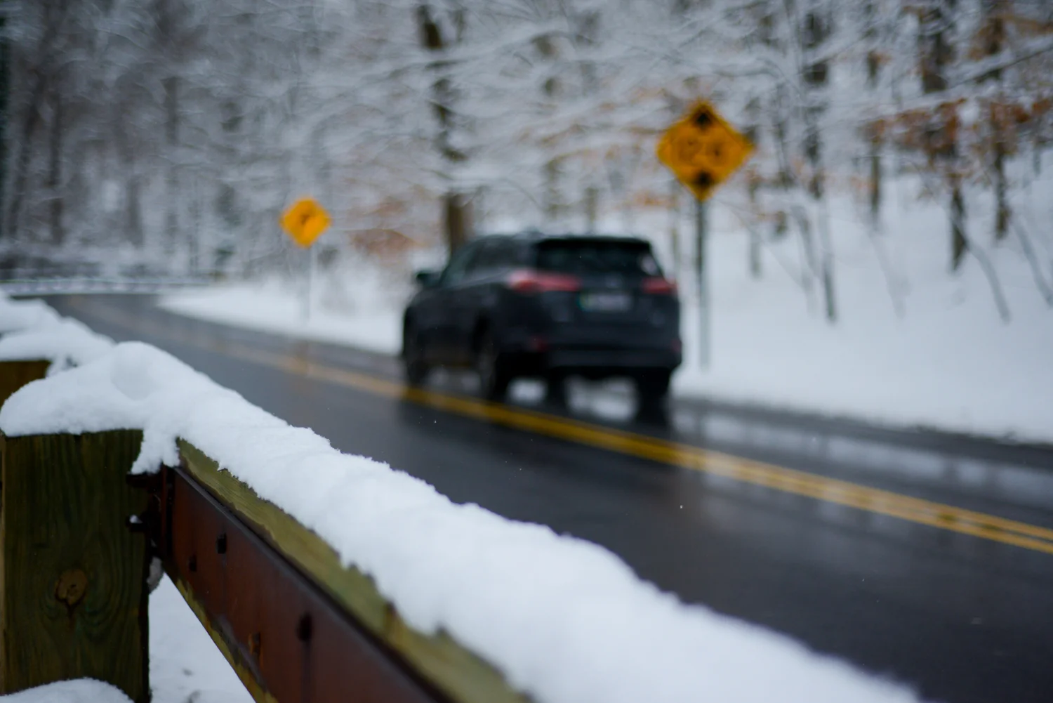 20190113_FirstSnowoftheYear-53.jpg