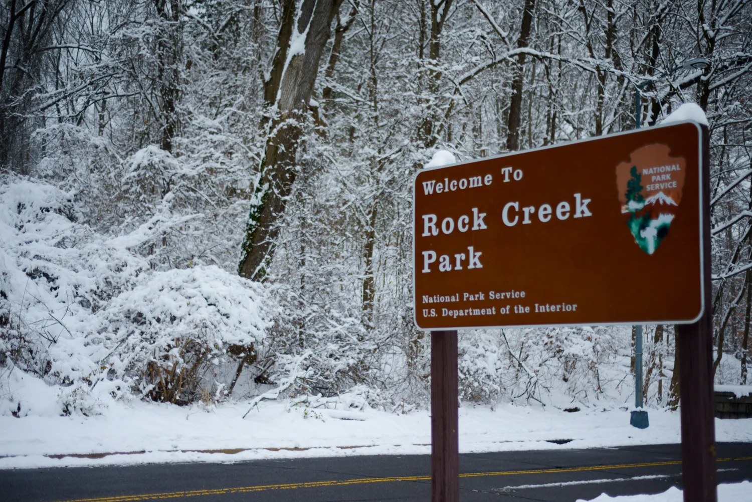 20190113_FirstSnowoftheYear-60.jpg