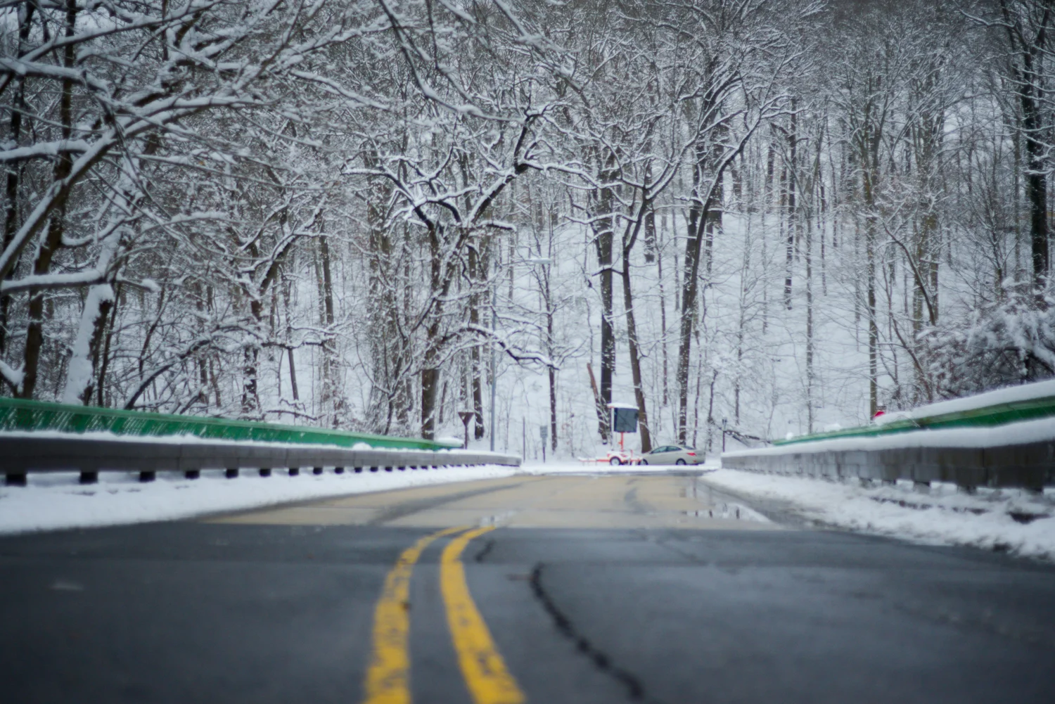 20190113_FirstSnowoftheYear-61.jpg