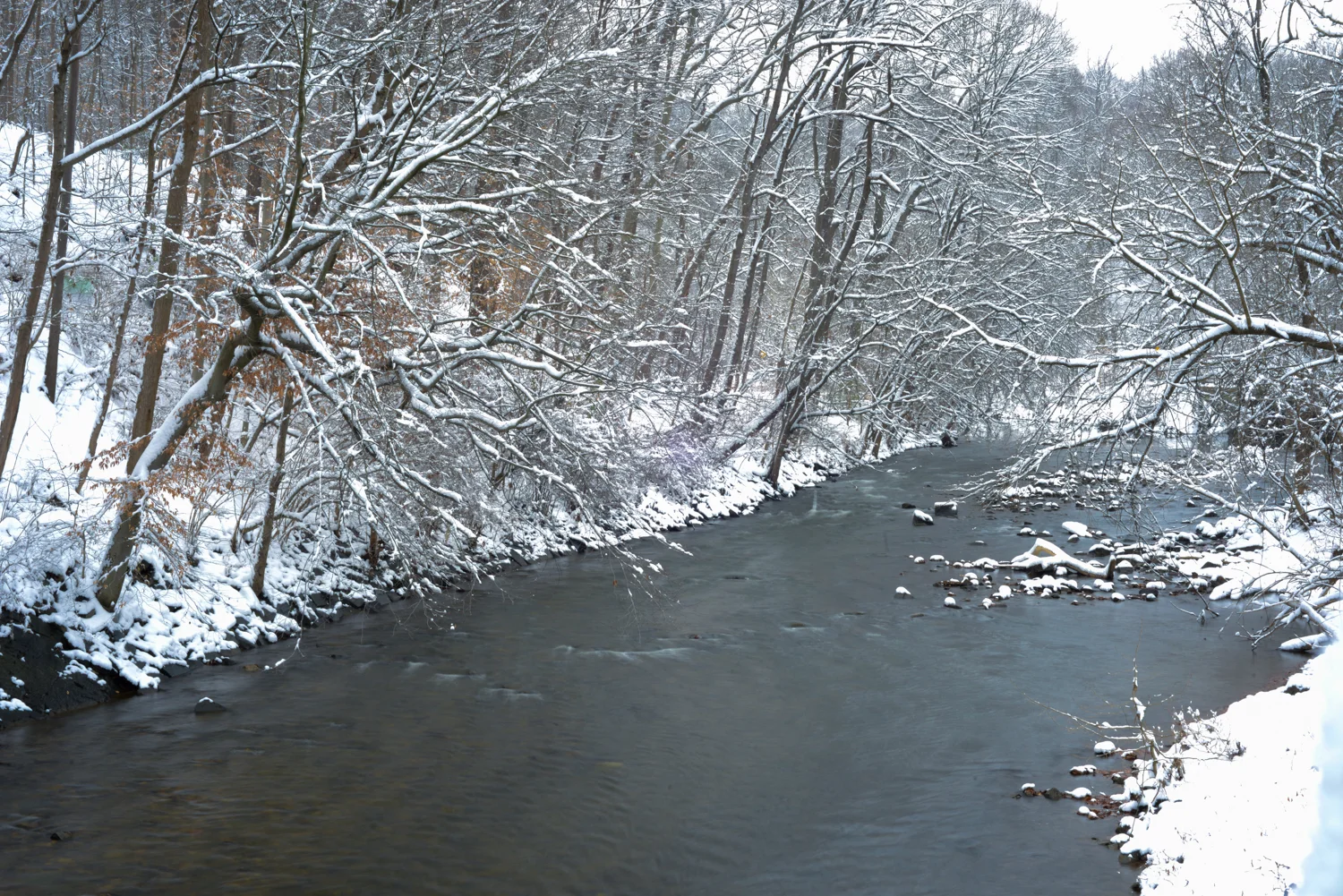 20190113_FirstSnowoftheYear-71.jpg